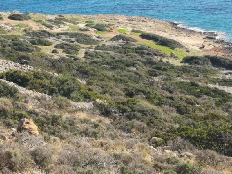 Plaka bei Elounda Kreta, Plaka Elounda: Bauland direkt am Meer zu verkaufen Grundstück kaufen